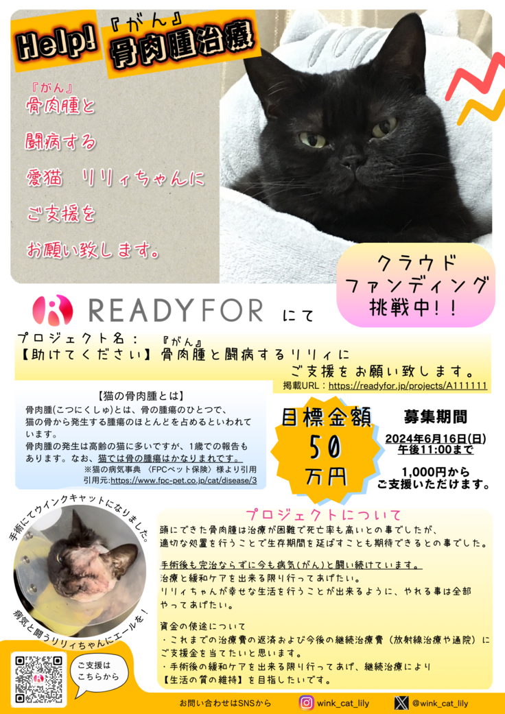 クラファン 挑戦中!！チラシ.png