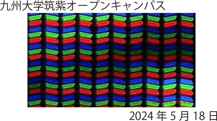 配布したオリジナル画像を入れたカード