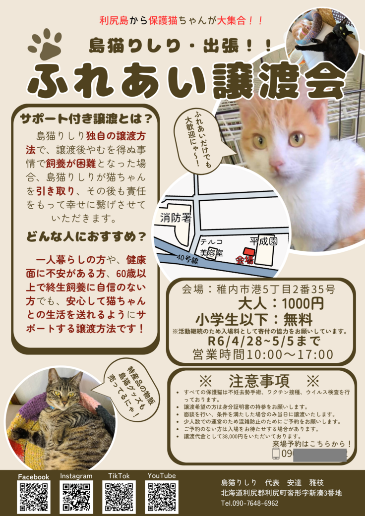 利尻島主審の保護猫ちゃんが大集合!! ().png