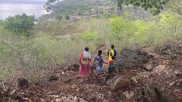 WhatsApp画像 2024-02-01 16.47.20_0dcf2336.jpg