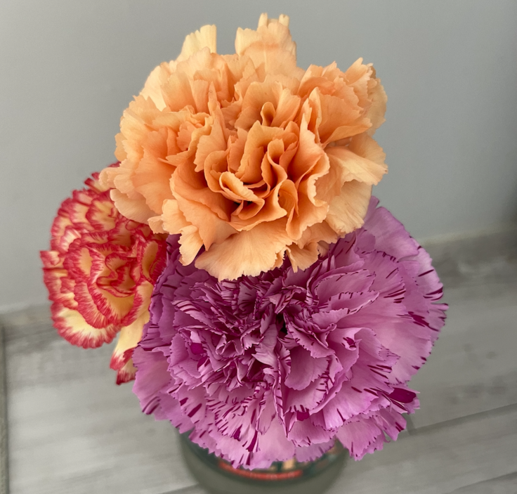 スクリーンショット 2024-05-30 16.06.57.png