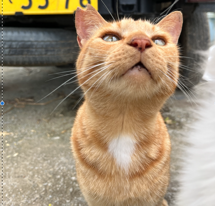 スクリーンショット 2024-05-30 16.10.33.png