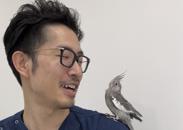 安田先生とポンチョちゃん（オカメインコ）