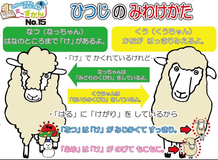 ひつじのみわけかた
