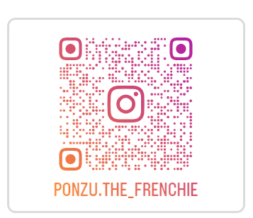 スクリーンショット 2024-06-07 145002.png