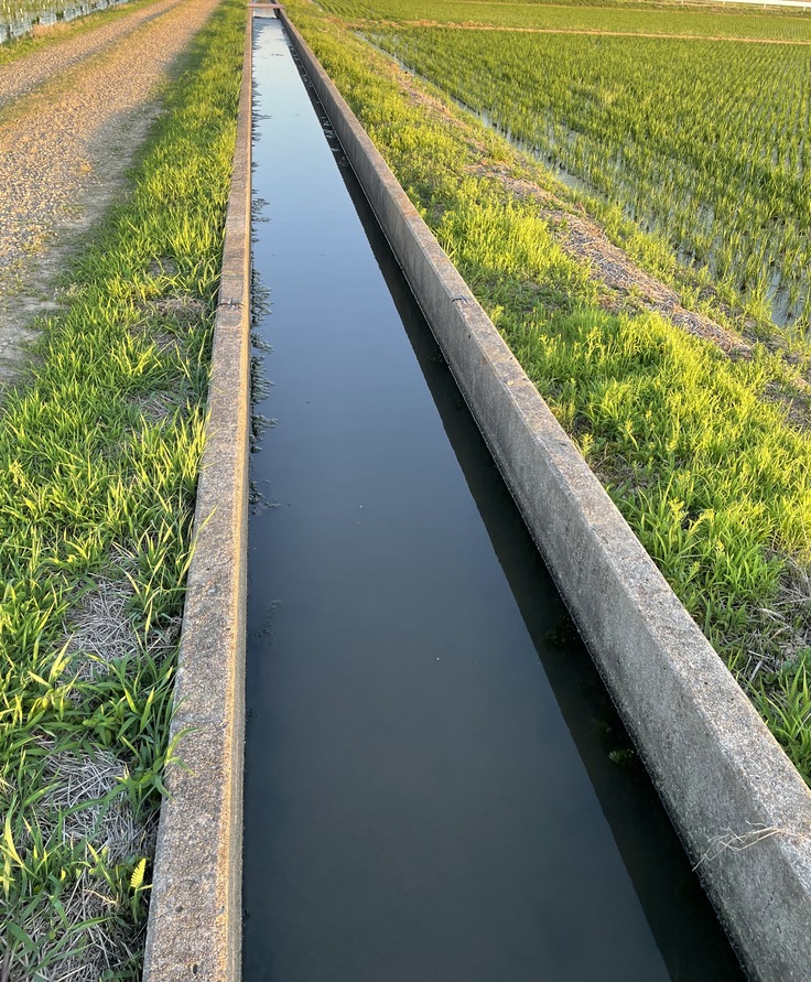 新通の水路その1＿20240614.jpeg