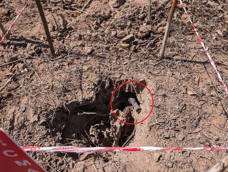 s-PXL_20240614_025939673 - コピー.jpg