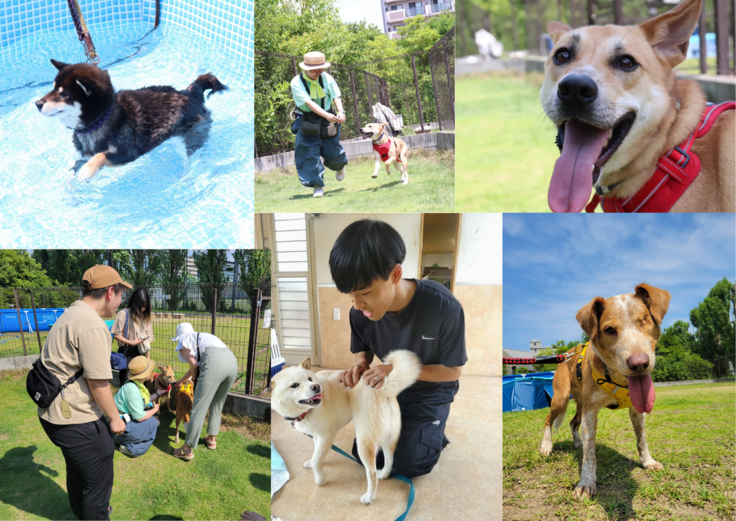 名称未設定のデザイン (2).png