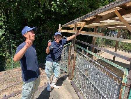 シカ舎の修繕中！！