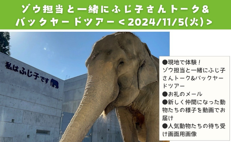 現地で応援｜ゾウ担当と一緒にふじ子さんトーク&バックヤードツアー