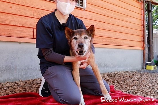 ゆっくりだけど「ファン」は自力で歩けるようになりました