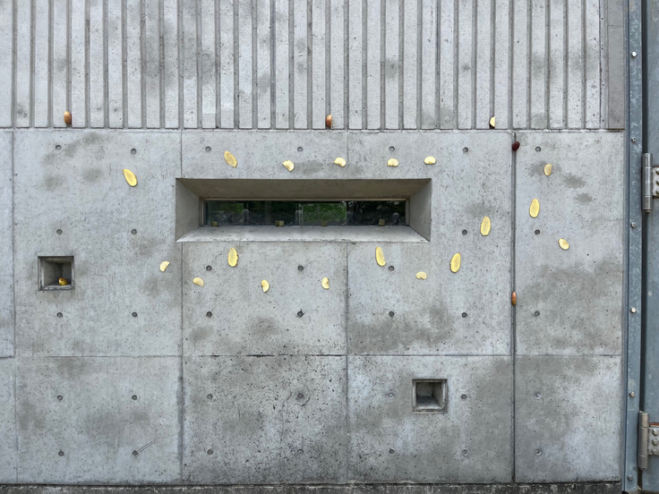 穴や壁にごはんをセット