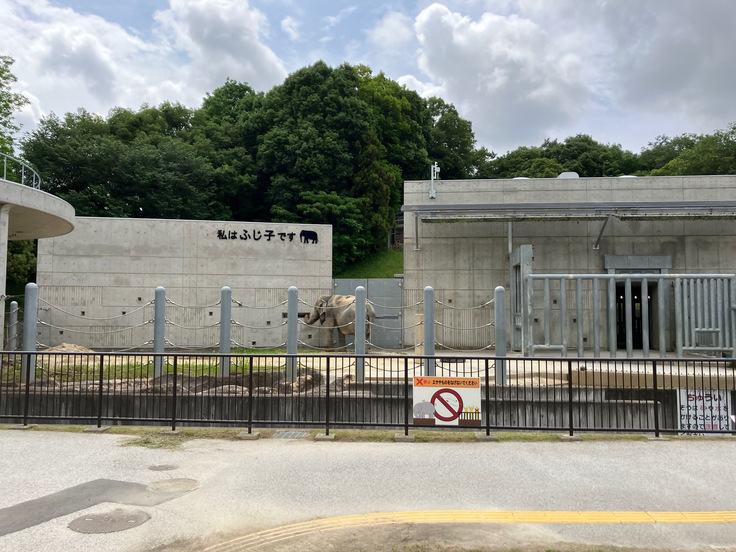 壁のごはんを探すふじ子さん