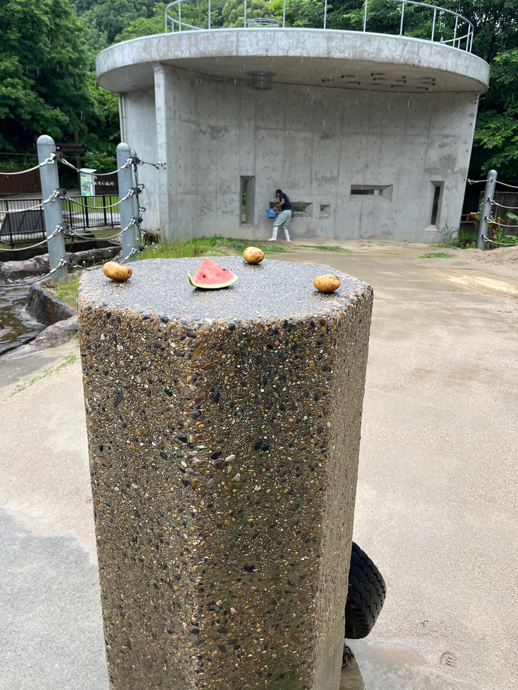 石柱に置かれたごはん