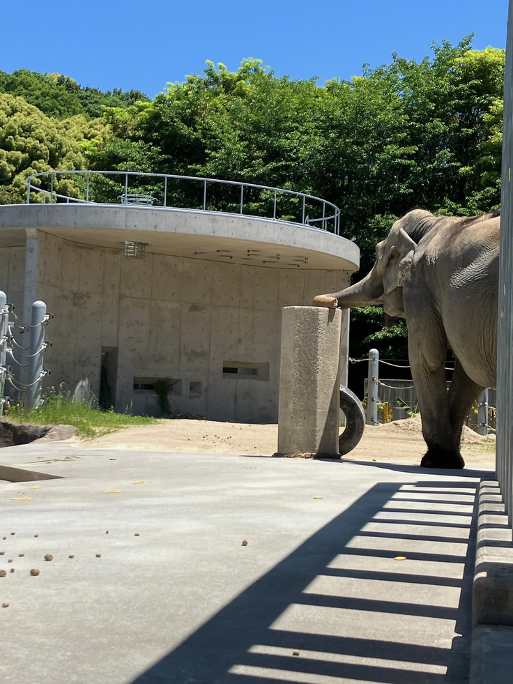 石柱の上はすぐにゲット