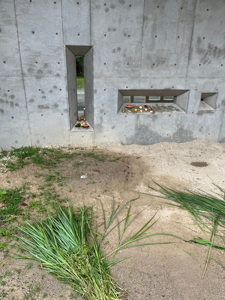 ビューイングシェルター前のごはん