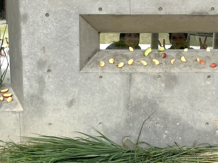 のぞき窓からこんにちは