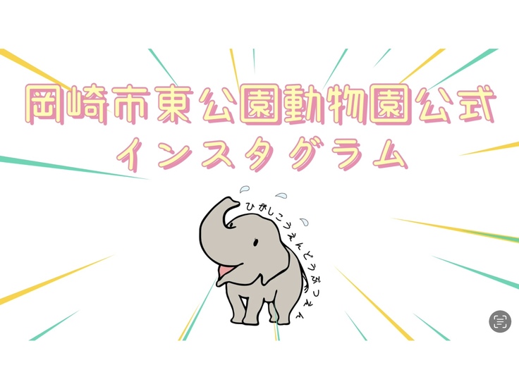 インスタライブのタイトル