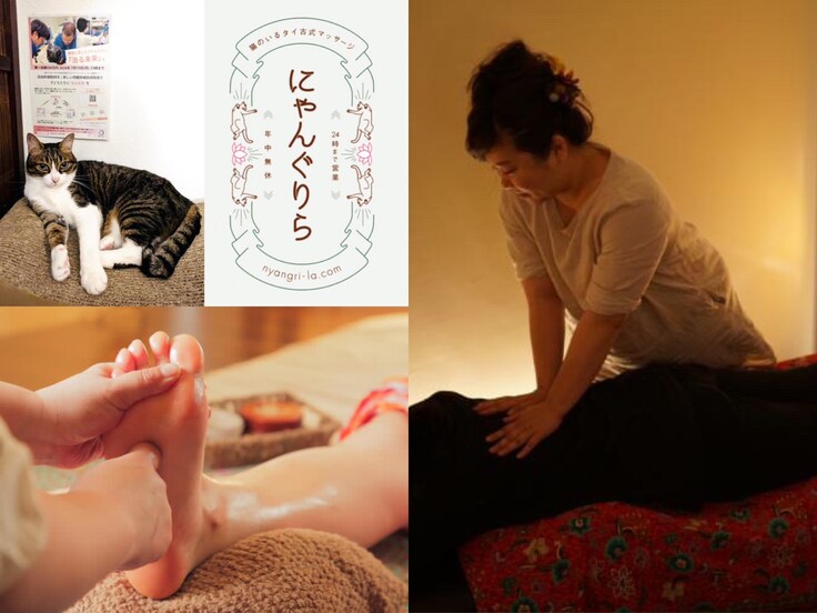 大阪市にある「猫がいるタイ古式マッサージサロン・にゃんぐりら」看板猫の小梅ちゃん オーナーの是永尚美さんは動物取扱業者の資格を得てまで保護猫を迎え入れたそう