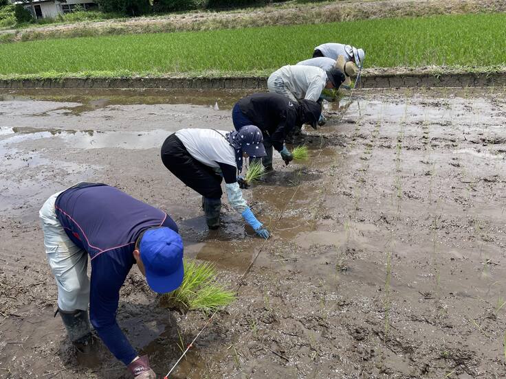 IMG_2756田植えcompr.jpeg