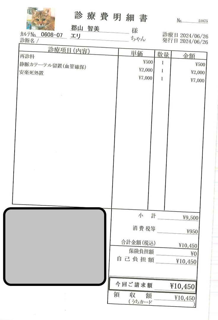 20240626險ｺ逋・jpg