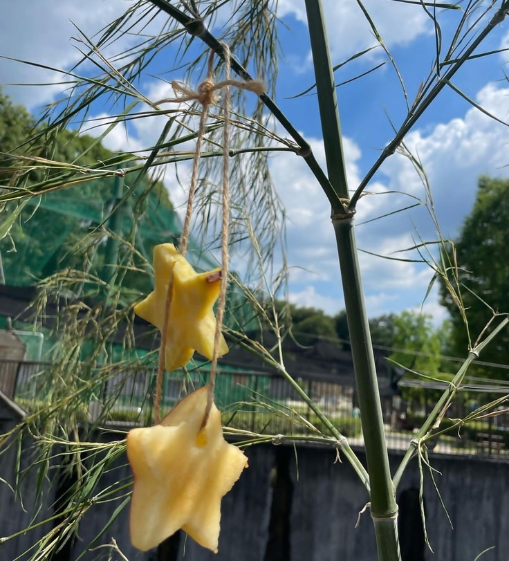 過去の様子（ニホンザル舎にて）