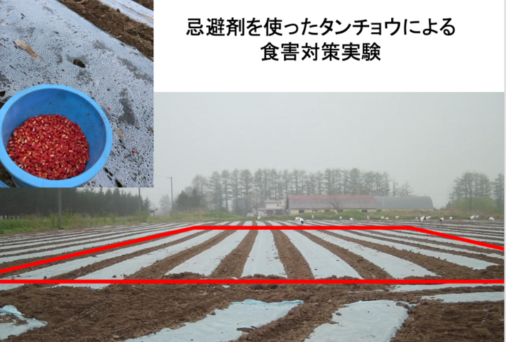 スクリーンショット 2024-07-03 21.07.29.png