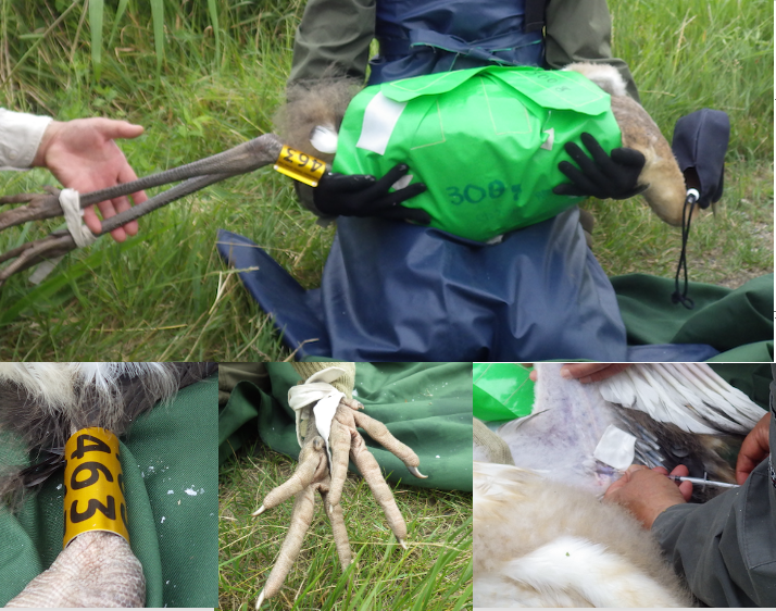 スクリーンショット 2024-07-09 12.07.11.png