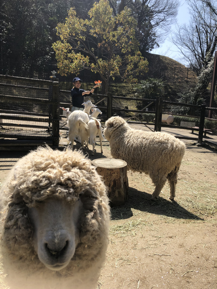 くぅちゃん誕生日会
