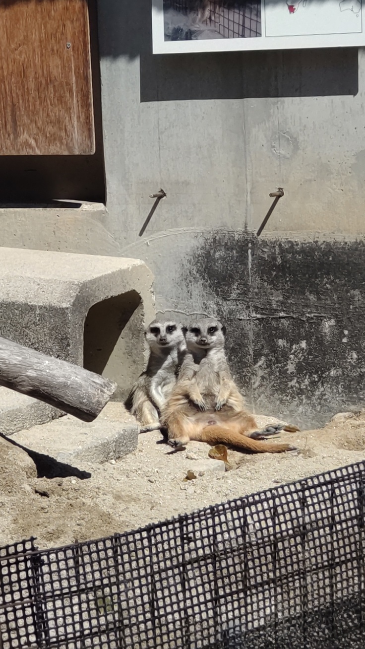かずくんびぃちゃん