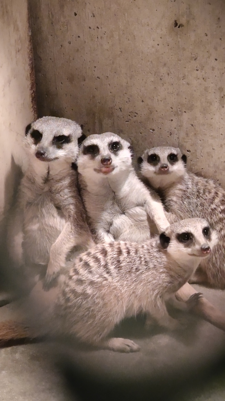 舎内でも仲良し家族