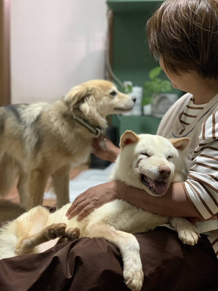 感情と表情が出てきました