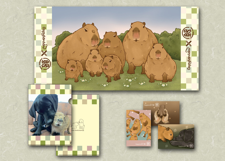 海外_Thanks gift set (002).jpg