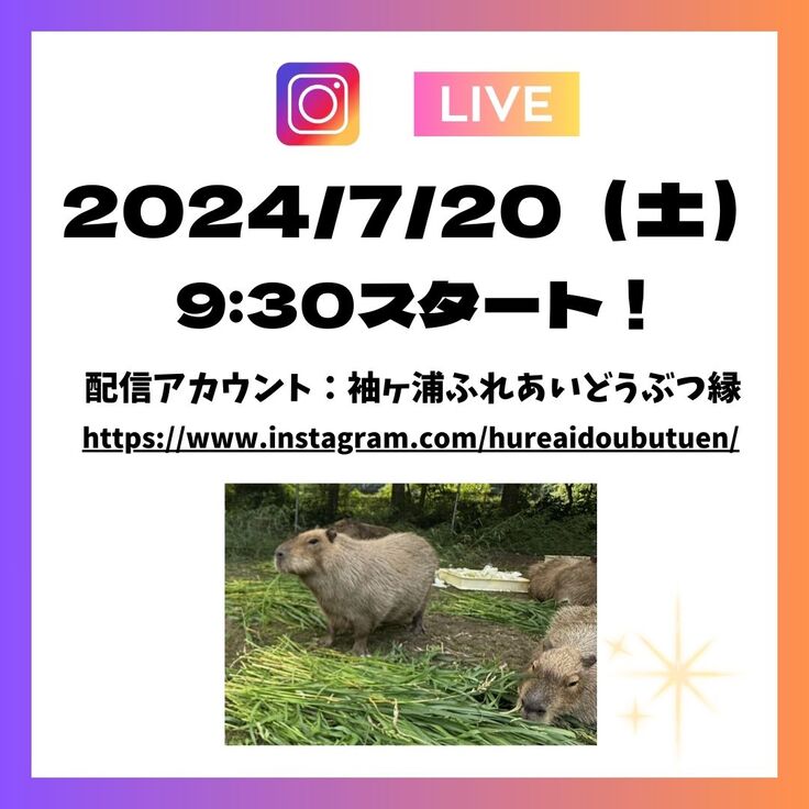 インスタライブ (1).jpg