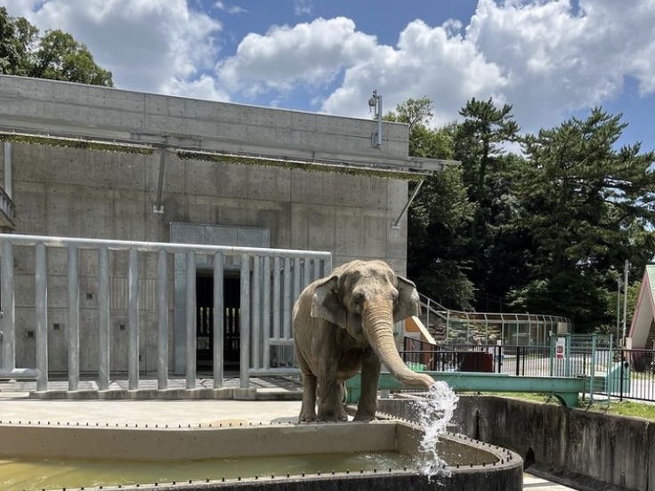 ふじ子さんの写真