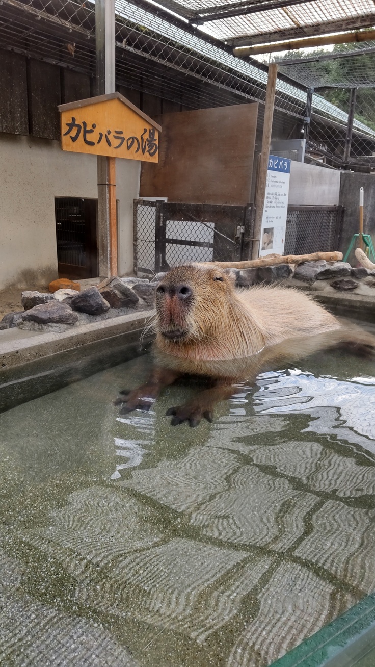 もみじちゃんのお風呂