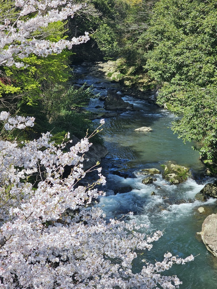 愛南町の豊かな自然…