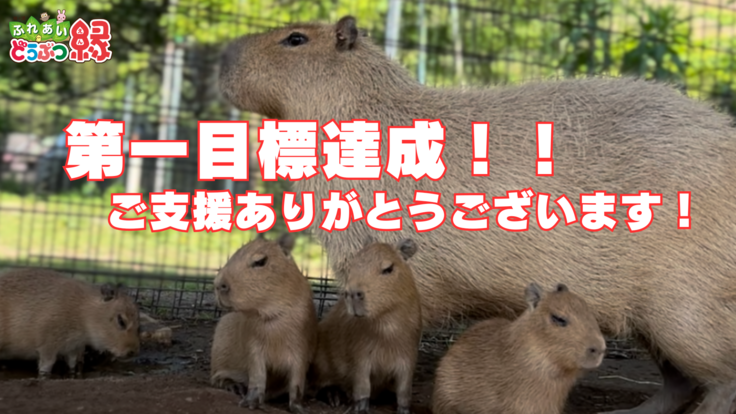 国内のカピバラの血統を守りたい ～種の適切な保全のために～ (1).png