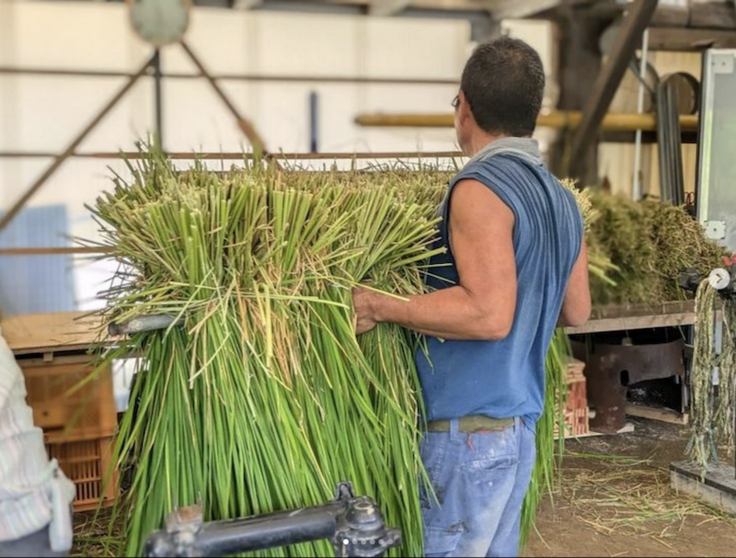スクリーンショット 2024-07-27 15.30.36.png