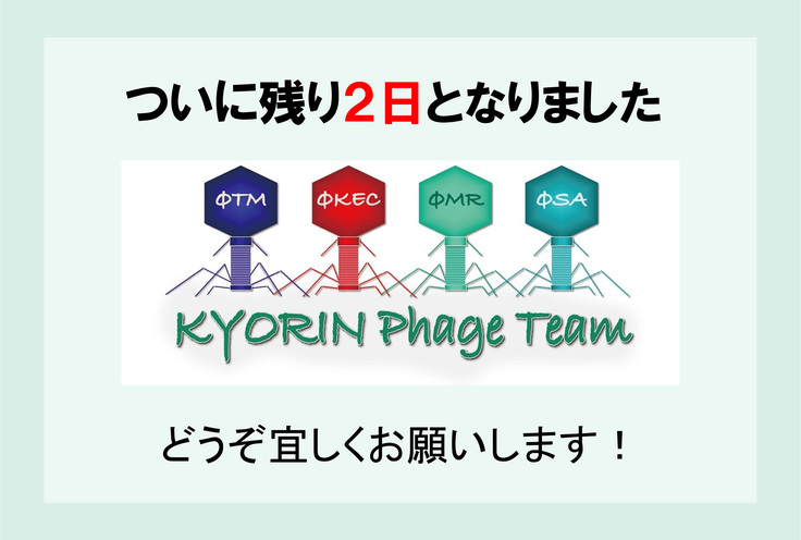 あと2日80.jpg