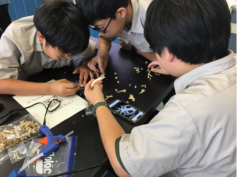 最終回の骨格標本の作成実習の様子