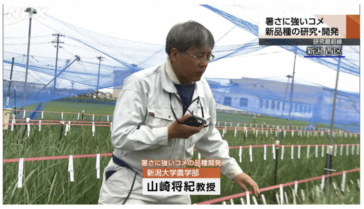 NHK新潟_にいがたWEBレポートより 2024-07-31 20.04.50.png