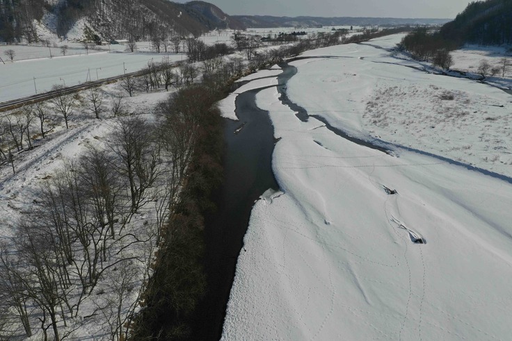 ドローンによる音別川のねぐら.jpg