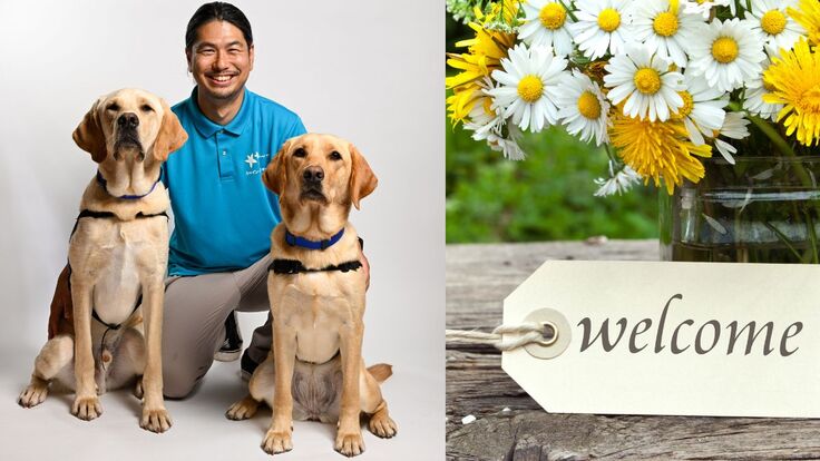 候補犬トミー、川﨑、候補犬ミコ