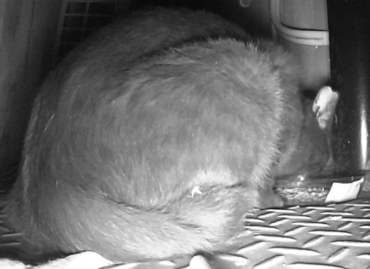 スクリーンショット 2024-08-10 16.48.52.jpeg