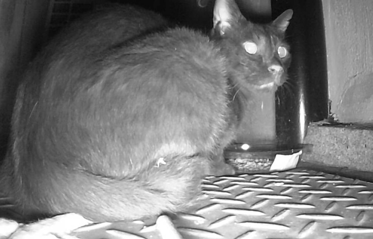 スクリーンショット 2024-08-10 16.48.28.jpeg