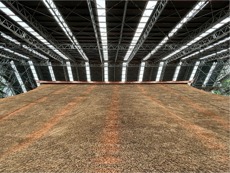 完成間近！！「慈恩寺本堂茅葺屋根」