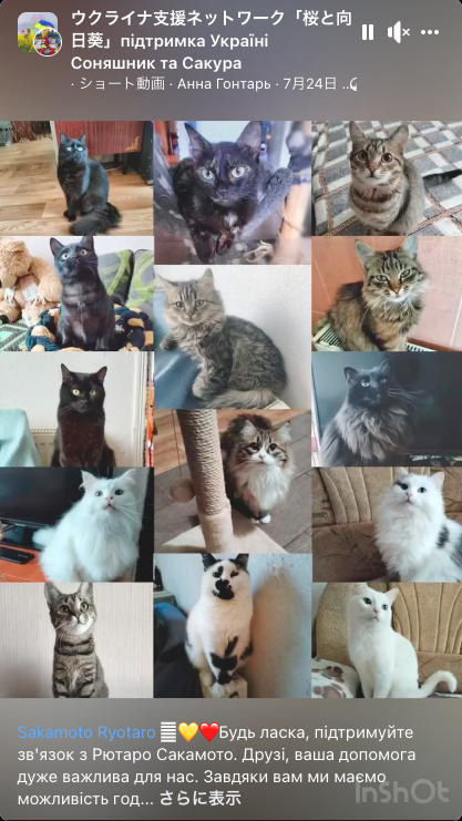 家族と一緒に避難できなかった動物たちへの支援