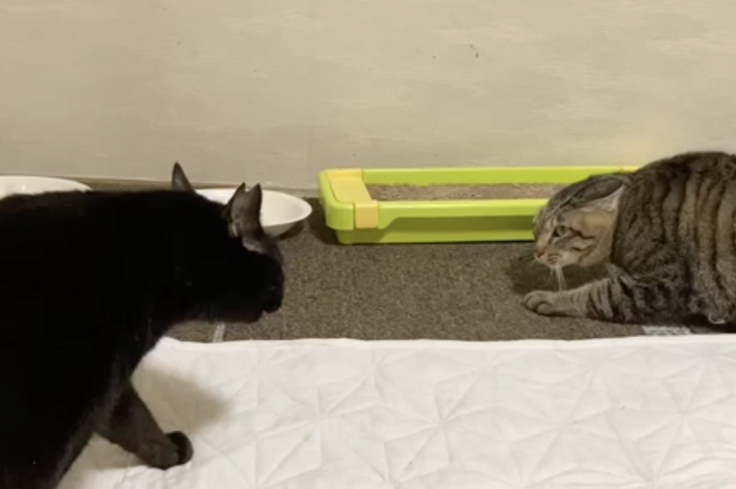 スクリーンショット 2024-08-21 15.29.42.png