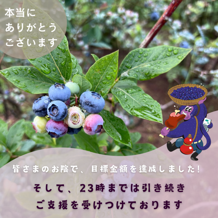 ピンク 白 茶色 写真 旅行  おすすめのカフェ紹介 インスタグラム投稿.png